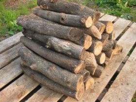 ���i�C���[�W1