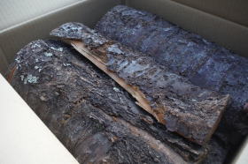 ���i�C���[�W1